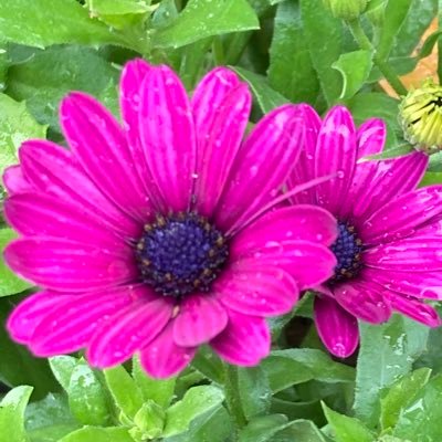 CurrieKirsteen's profile picture. 