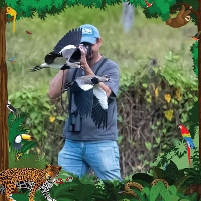 Bird's Photo Expeditions Costa Rica, Colombia, Peru, Ecuador, Brazil
Freddy Madrigal / Certified International Tour Manager.
Contact: photo@freddymadrigal.com