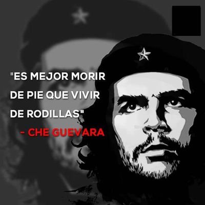 dbarreras12's profile picture. Sencillo