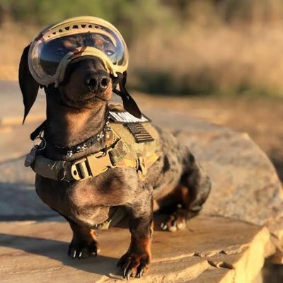 janwalczuk's profile picture. 