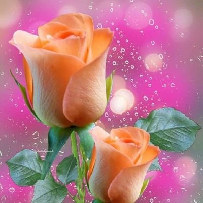 Angel8166833504's profile picture. muñeco