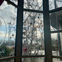 flora (@florany66) 's Twitter Profile