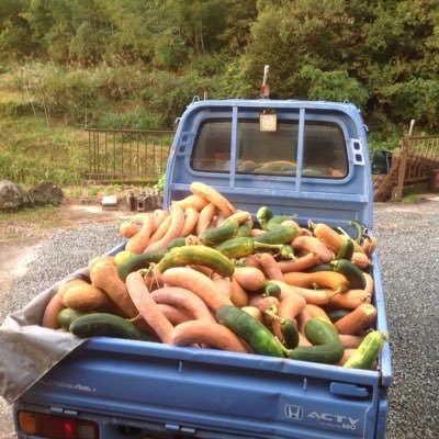 hoteyemasuku's profile picture. 🌈懸賞🌈仲間募集中！懸賞好きさん相互フォローして仲良くして下さい✨✨宜しくお願いします！変垢以外はフォローします！自然大好き☁️