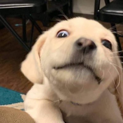 Mlai2547's profile picture. 