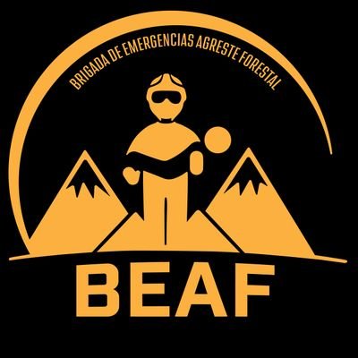 Somos Brigada de Emergencias Agreste Forestal #BEAF
Prevención y atención de emergencias de la precordillera de #LaFlorida #RM, creciendo con esfuerzo!