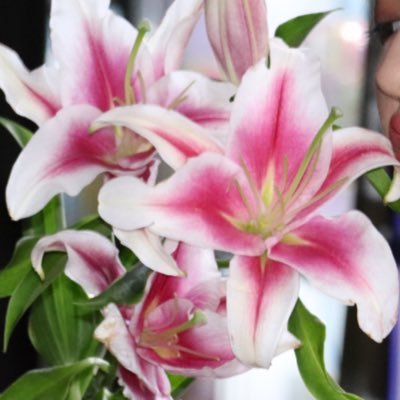 _PearlPlum's profile picture. 🌞♋️🌝♊️