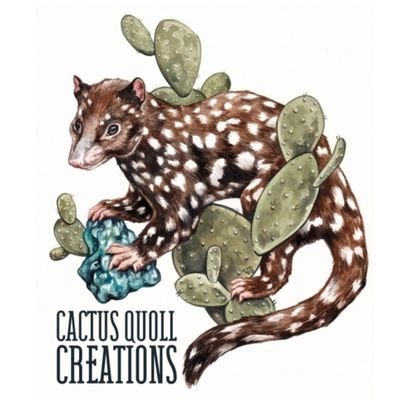 cactusquoll Profile Picture