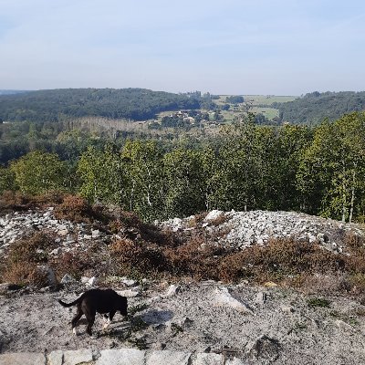 Jobijob75776226's profile picture. Go Winkyverse