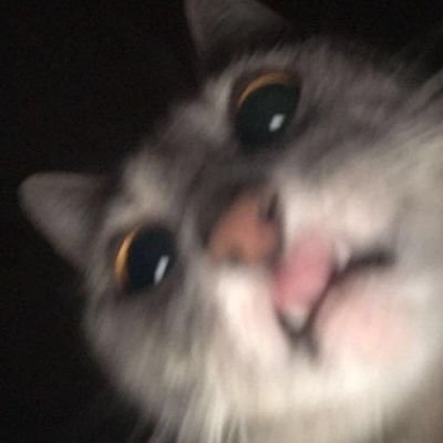 myourni's profile picture. 