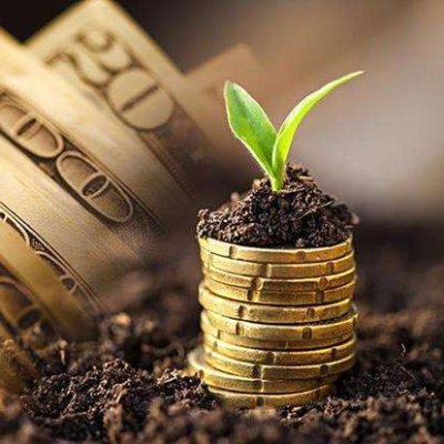 OyeChat's profile picture. BTC,Criptomoneda, DEFI