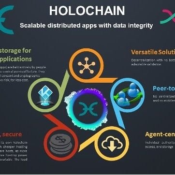 #holo is the true decentralised solution