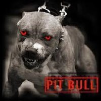 Pitbull Yasaklansın. (@ysklnsn) 's Twitter Profile Photo Pitbull Yasaklansın. (@ysklnsn) 's Twitter Profile Photo