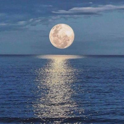 giacmont255's profile picture. 
