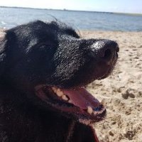 Michael Schüler (@michael_nimic) 's Twitter Profile