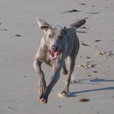 JulieDURU1's profile picture. 