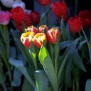 AdamHarry - @AdamHarry3 - Twitter