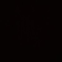 . (@t_trade05) 's Twitter Profile