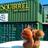 SquirrelStorage's profile image