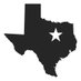 Texas Voter (@TexasVoterDFW) Twitter profile photo
