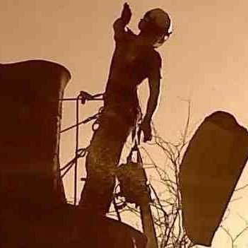 Jay_Smith2212's profile picture. Tree Officer and marathon runner