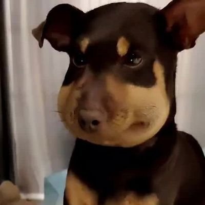 YumiFlo's profile picture. 