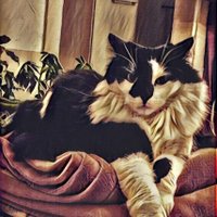 Gaby 🚜🇩🇪🌍🌞⛱️☔️ (@gaby64374866) 's Twitter Profile