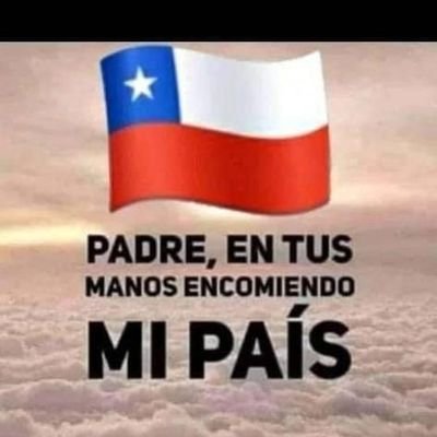 Contador Auditor y Empresario. Estudié mientras otros se diviertían, luego trabajé mientras otros dormían, asi cumplo mis sueños.🇨🇱  22% 🕷