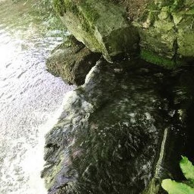 Duquesne1Alexy's profile picture. 🚂✈️🚢🏞️