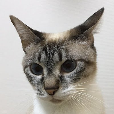 Netflixが大好きです😍韓国ドラマは生活に必要 👍猫好きさんと繋がりたい🐱人が作る料理を見るのが大好きです🍱 UFO大好き 🛸無言フォロー失礼します。フォロワーさんと巡り会えたことに感謝します 😃YouTube【魔法学校ユグドラシル】を日々UPしているのでご覧ください😃チャンネル登録もお願いします👍