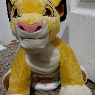 Im a 37 year old male, I am abdl as well as babyfur, my fursona is a redwolf pup with a scar by his left eye, I am a bit shy but friendly, I also write stories