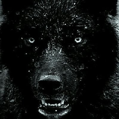 GamingFenek's profile picture.