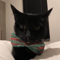 mojo (@1mojodojo1) 's Twitter Profile