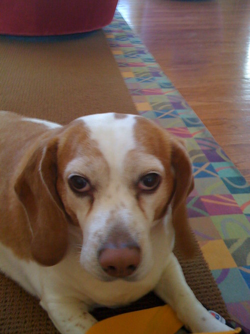 puddee's profile picture. 