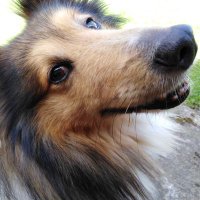 Jan Skalický (@jan_skalicky6) 's Twitter Profile