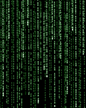 Penetration tester, security researcher, red teamer. Web, RE, Exploits, Infra. Founder of https://t.co/Cp6D70cPVY