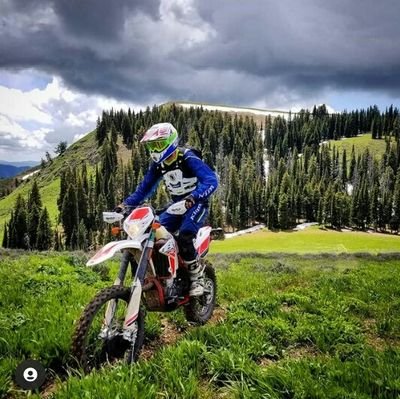 CesarBorr's profile picture. Elegante