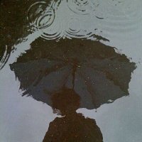 nemo (@idfknemo) 's Twitter Profile Photo nemo (@idfknemo) 's Twitter Profile Photo