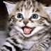 Twitter Profile image of @MariaGCD