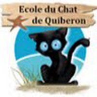 École du Chat de Quiberon 🐈(@ChatQuiberon) 's Twitter Profile Photo