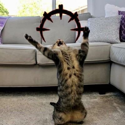 LaSayFair's profile picture. Ash ~ She/Her ~ 🏳️‍⚧ ~

Your mistake was to underestimate my power.