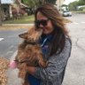 alyssa_mapes's profile picture. Professional Pet Sitter- Premier Dog Services - We treat your furbabies with love and kindness 🐾
