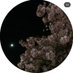 𝚃𝙰𝙷𝙰𝙽𝙸. (@t3h3ni77) Twitter profile photo 𝚃𝙰𝙷𝙰𝙽𝙸. (@t3h3ni77) Twitter profile photo