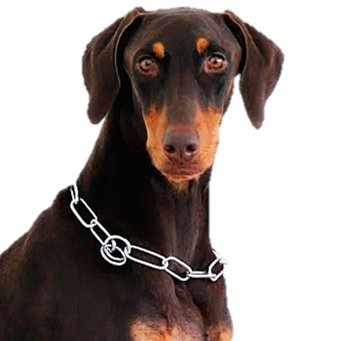 JKEEPER97's profile picture. “Yes, unreal JK is real-time, so there must be a lot of enemies. I'll be your ARMOR, not someone's ARMY. Do whatever you want.” #JUNGKOOK+EEPER