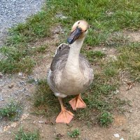 Storm Mith (@storm_mith) 's Twitter Profile