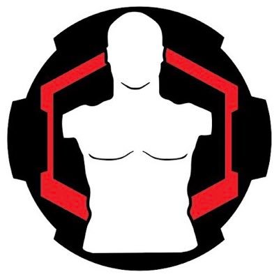 Full torso, 3D silhouette, Self-healing targets.