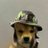 a53096592's profile image