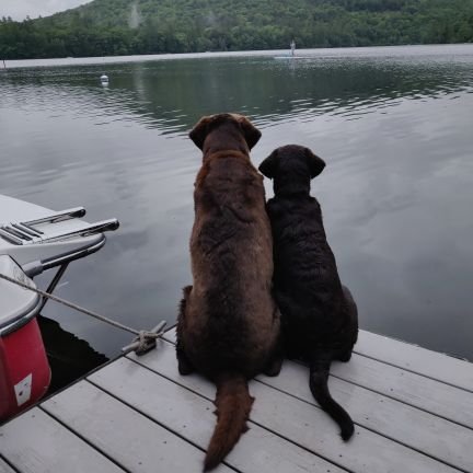 JRSTR6's profile picture. the old dog @the blue 🦋