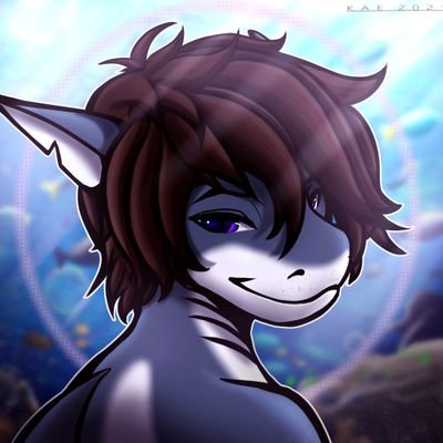 las_Shark Profile Picture