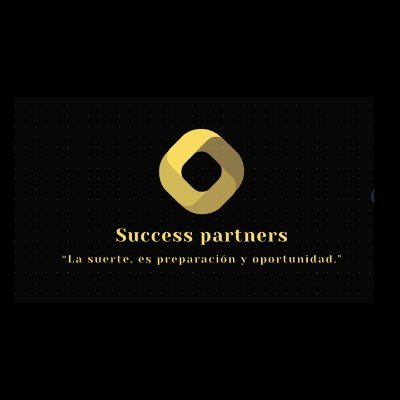 Success Partners Profile