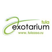 Тульский экзотариум был основан в 1987 году. Сейчас в экзотариуме содержится крупнейшая коллекция змей в мире.
http://t.co/za6fEOJZ
http://t.co/YabQViV8